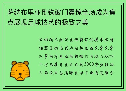 萨纳布里亚倒钩破门震惊全场成为焦点展现足球技艺的极致之美